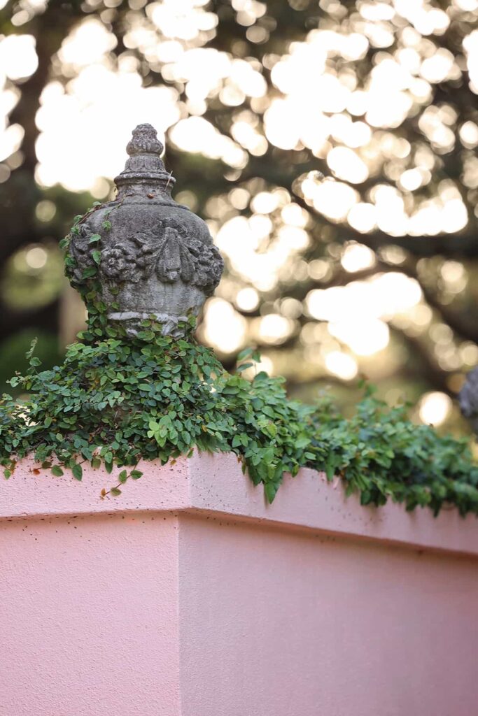 Pink wall topped by statuary and covered in vines blooming during April in Savannah