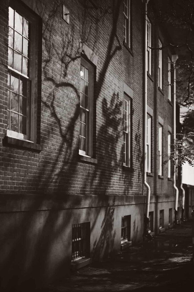 B&W image of the side of a brick building at night with spooky shadows that resemble tree characters walking down the street
