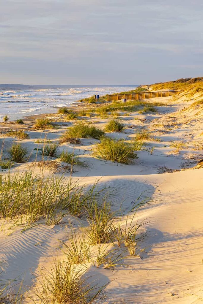 The rays of a golden sunset fall over windswept dunes along the Georgia coast